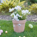 Easter - Spring Flower Pot - Bunny Decor - Easter Decoration - Decorative Garden Pots for Cactus Succulents Planter with Drainage Hole for Home Farmhouse Decor 5.75 x 5 x 7.25 inch Newman House Studio by GreenHaven Gardens