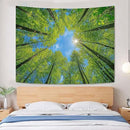 AMM Nature Forest Tree Celling Tapestry Lush Green Treetops Sunlit Tapestry for Bedroom Aesthetic Sky Sunlight Canopy Leaves Landscape Tapestries Wall Hanging for Living Room Dorm Office 60 x 44 Inch by CozyNest Decor