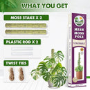 DUSPRO Stackable Mesh Moss Pole for Plants Monstera Potted Plant Stakes for Indoor Plants Extendable Plant Pole Moss Sticks for Plants Climbing Vine Supporting Monstera Trellis 2Pack 22'' by GreenHaven Gardens