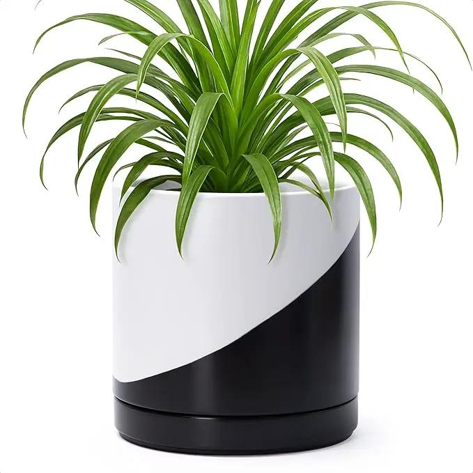D'vine Dev 8.2 Inch Ceramic Planter Pot with Drainage Hole and Saucer, Indoor Cylinder Round Planter Pot, Oblique Monochrome Black and White, 94-O-D-K, photo 7 of 7