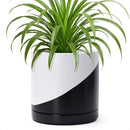 D'vine Dev 8.2 Inch Ceramic Planter Pot with Drainage Hole and Saucer, Indoor Cylinder Round Planter Pot, Oblique Monochrome Black and White, 94-O-D-K by GreenHaven Gardens