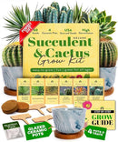 HOME GROWN Deluxe Succulent & Cactus Seed Grow Kit - Complete Indoor Plant Kit with Cactus Seeds, Potting Soil, Ceramic Pots, Drip Trays, and Grow Guide for Plant Enthusiasts by GreenHaven Gardens