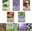 5 Kit - Growing into Shasta Daisy, Cornflower, Sunflower, Zinnia, Lavender for Indoor Outdoor Garden DIY Gifts by GreenHaven Gardens