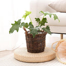 Handwoven Red Willow Planter Basket with Waterproof Liner – Natural Brown Decorative Flower Pot Holder for Indoor Use - Small Size (Inner Top Ø 7", Inner Height 5.9") by CozyNest Decor