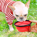 5" Portable and Foldable Small Dog Bowl-Red set of 5