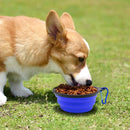 5" Portable and Foldable Small Dog Bowl-Blue (set of 5)