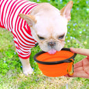 5" Portable and Foldable Small Dog Bowl-Orange set of 5