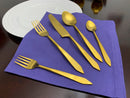 Flatware set of 20 Pieces Golden Stainless Taj Look