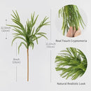 MISSPIN 12 Pcs 21.5 Inches Christmas Norfolk Pine Branches, Norfolk Pine Artificial Christmas Branches DIY Crafts Faux Pine Branches for Xmas Indoor Outdoor Home Decor by CozyNest Decor