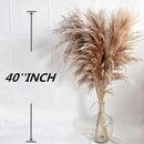 40" inch 10 Stems Pampas Grass Decor Tall, Pampas Grass Bouquet, Natural Dried Flowers for Wedding, Natural Home Decor, Wall Grass, Glam Decor by CozyNest Decor