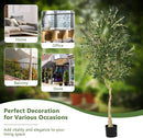6 Feet Artificial Olive Tree in Cement Pot by LJGDeals