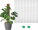 EOX 8 Pcs 24 Inch Plastic Moss Pole for Plants Monstera, Plant Poles for Climbing Plants, Plant Support for Indoor Plants Work with Sphagnum Moss, Garden Ties by GreenHaven Gardens