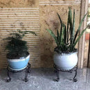 Metal Outdoor Plant Stand 11.8IN Diameter Heavy Duty Plant Pot Stands for Indoor Round Flower Pot Support Rack Set of 2,Black by GreenHaven Gardens