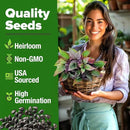 HOME GROWN Thai Basil Seeds Pack - 438 High Germination 𝗡𝗢𝗡-𝗚𝗠𝗢 𝗨𝗦𝗔 Heirloom Herb Seeds for Planting,Ideal for Growing Fresh Basil Planting Indoor or Outdoor(Ocimum basilicum var.thyrsiflora) by GreenHaven Gardens
