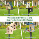 Smart Bird Feeder Pole-Heavy Duty Adjustable 3-6.6ft Universal Birdhouse Stand Mount for Backyard&Outdoor Bird Houses/Cameras (80'Pole) by GreenHaven Gardens