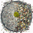 15LB Succulents Rocks for Plants Cactus Gravel Pebbles for Fish Tank 1/2 Inch Natural River Rocks for Vase, Aquarium, Landscaping,Bonsai,Terrarium Pebbles, Mixed Color by GreenHaven Gardens