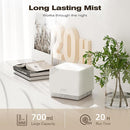 ASAKUKI 700 ml Premium Essential Oil Diffuser, 5 in 1 Ultrasonic Aromatherapy Fragrant Oil Vaporizer Humidifier, Timer and Auto-Off Safety Switch, 7 LED Light Colors by TinyTreasures Baby Boutique