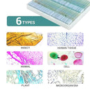 100 Microscope Slides with Specimens for Kids and Adults, Prepared Microscope Slides with Plants Animals Insects for Students Homeschool Edu by TinyTreasures Baby Boutique