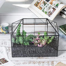 NCYP Glass Terrarium Planter with Lid for Small Succulent Cacti, Grid House Shape Black Geometric Terrarium Pot, Home Garden Indoor Tabletop Decor, 9.84" x 5.31" x 7.87" (No Plants) by CozyNest Decor