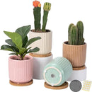 OMAYKEY 4 Inch Ceramic Plant Pot with Saucer, Adorable Stripe Multicolor Small Planters Pots with Drainage Hole & Mesh Pads for Succulent, Snake Plants, Cactus, Herbs - Set of 4 by GreenHaven Gardens