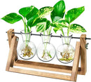 Ivolador Plant Propagation Station,Bulb Plant Terrarium with Wooden Stand,Unique Gardening Gifts for Women Plant Lovers,Hydroponic Indoor Planter Home Office Garden Wedding Decor-3 Bulb Glass Vases by GreenHaven Gardens