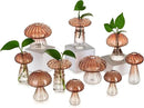Glasseam Mushroom Plant Propagation Stations: Amber Glass Terrarium Jar Set of 10 Cute Planters for Indoor Plants Mini Propagate Station Unique Christmas Birthday Gifts for Women Home Office Decor by GreenHaven Gardens
