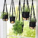GARDIFE Hanging Planters for Indoor Plants,5Pcs Hanging Basket for Indoor Boho Home Decor,Macrame Plant Hanger,35 Inches,29Inch,23Inch, Ivory,Self Watering Planters, 7/6.5/6/5.5/5 Inch,Black&Black by GreenHaven Gardens