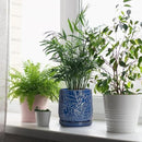 D'vine Dev 6 Inch Embossed Leaves Stoneware Planter Pot with Drainage Hole and Saucer, Midnight Blue, 27-A-X-3 by GreenHaven Gardens