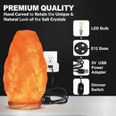 Himalayan Glow Salt Lamp with Dimmer Switch 5-7 lbs by CozyNest Decor