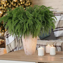 12 Pcs Artificial Norfolk Pine Branches, Norfolk Pine Artificial Pine Stems DIY Crafts Faux Christmas Greenary Norfolk Pine Branches for Xmas Wreath Garland Home Decor (12) by CozyNest Decor