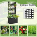 Metal Raised Garden Bed, Trellis Planters Bed with Drainage Holes for Climbing Plants, Vegetables Outdoor Privacy Screen with Planter Box 63"x24"x12", Black by GreenHaven Gardens