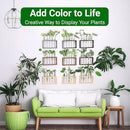 Ivolador Plant Propagation Station Terrariumin Wall Test Tube Vases Bud Tabletop Glass Wooden Stand with 5 Propagation Tubes for Propagating Hydroponic Plants Home Garden Wedding Decoration-Beige by GreenHaven Gardens