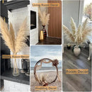 10 PCS 40" Tall Pampas Grass Stems in Natural Beige, Add a Boho Touch to Your Space—Pompas Grass Ideal for Floral Arrangements, Floor Vases, Weddings, and Creating a Bohemian Ambiance at Home. by CozyNest Decor