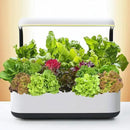 20,000+ Lettuce Seeds, Heirloom Vegetable Seed for Planting Indoor Outdoor, 10 Varieties Fresh Lettuce Salad Seeds Garden Hydroponics Kit - Romaine, Iceberg, Boston, Bibb and More, Non-GMO by GreenHaven Gardens