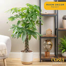 Costa Farms Money Tree Live Plant, Easy to Grow Houseplant Potted in Indoor Garden Pot, Pachira Bonsai in Potting Soil, Gift for Birthday, Housewarming, Thank You, Office and Home Decor, 3-4 Feet Tall by GreenHaven Gardens