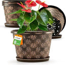 8 Inch Planter Pots for Plants, Plastic Flower Pots Indoor Outdoor, 5 Pack Resin Plant Pot with Drainage & Saucer, Retro Decorative Garden Pot with Removable Trays for House by CozyNest Decor