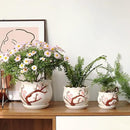 Ceramic Plant Pots with Drainage Holes and Saucers, Round Flower Pots for Indoor Plant, 3.9/5.2/6.7 Inches Small Flower Planters Set of 3 by GreenHaven Gardens