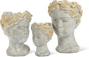 Abbott Collection Aphrodite Head Planter – Medium Indoor and Outdoor Planter Pots - Whimsical Woman Statue Head Planter for Flowers and Succulents (8.5 inch, Grey/Gold) by GreenHaven Gardens