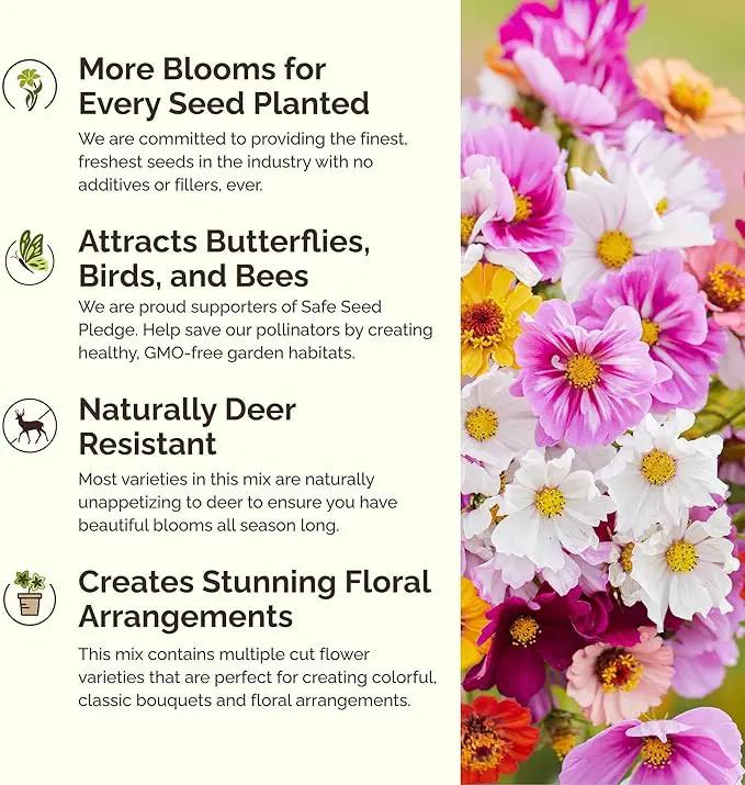 Eden Brothers Cosmic Zen Flower Mixed Seeds for Planting, 1 lb, 480,000+ Seeds with Zinnia Dahlia Flowered, Cosmos Sensation | Attracts Pollinators, Plant in Spring, Zones 3, 4, 5, 6, 7, 8, 9, 10, photo 4 of 6