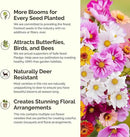 Eden Brothers Cosmic Zen Flower Mixed Seeds for Planting, 1 lb, 480,000+ Seeds with Zinnia Dahlia Flowered, Cosmos Sensation | Attracts Pollinators, Plant in Spring, Zones 3, 4, 5, 6, 7, 8, 9, 10 by GreenHaven Gardens