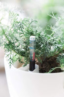 GARDENIX DECOR Self Watering Pots for Indoor Plants 3 Pack - Flower Pot with Water Level Indicator for Plants, Grow Tracking Tool - Self Watering Planter Plant Pot - Coco Coir - White by GreenHaven Gardens