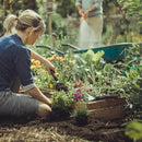 Fiskars Xact Hand Weeder, Garden Tool, Stainless Steel Blade with Sharpened and Serrated Edge for All Gardening Tasks, SoftGrip Handle by GreenHaven Gardens