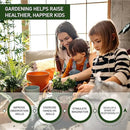10QT Horticultural Vermiculite Bulk, Organic Vermiculite for Plants, Course Grade Vermiculite for Gardening, for houseplants, for Mushrooms, to Maintain Soil Moisture and Plant Growth(5-8mm) by GreenHaven Gardens