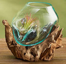 OMA Molten Glass on Driftwood – Hand Blown Vase, Terrarium, or Planter for Coastal & Boho Home Décor Centerpieces (6" - 7" High) by CozyNest Decor