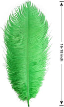 THARAHT Green Ostrich Feathers 12pcs Large Natural Bulk 16-18Inch 40cm-45cm for Wedding Party Centerpieces Mardi Gras and Home Decoration Feathers by CozyNest Decor