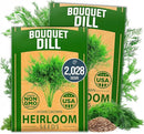 HOME GROWN Dill Seeds 2 Pack (Anethum Graveolens) - 2028 Non-GMO Heirloom Herb Seeds for Planting Indoors or Outdoors, High Germination, Ideal for Herb Gardens, Pots, and Cooking Flavorful Dishes by GreenHaven Gardens
