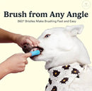 Jasper Dog Toothbrush, 360º Dog Tooth Brushing Kit, Cat Toothbrush, Dog Teeth Cleaning, Dog Finger Toothbrush, Use with Dog Toothpaste - Clear 2-Pack by CozyNest Decor