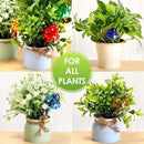 Meanplan 8 Pcs Watering Globe for Plant Self Watering Globes for Indoor Outdoor Plants Watering Devices Self Watering Spikes Mushroom Watering Bulbs Automatic Glass Plant Waterer for Plants