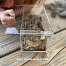 THE MASONRY | Acrylic Terrarium for Isopod Enclosure | 8"x4"x4" | Sling Tarantula Enclosure and Bug Tank | Small Spider Habitat | Terrarium Pre-Assembled with Magnetic Lock by CozyNest Decor