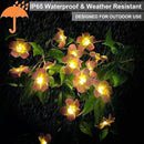 Solar Flowers Outdoor Waterproof - Petunia Blue Morning Glory Flowers&Solar Moth Orchid String Lights 12.5ft 10 LED Phalaenopsis Flower Solar Fairy Lights by GreenHaven Gardens